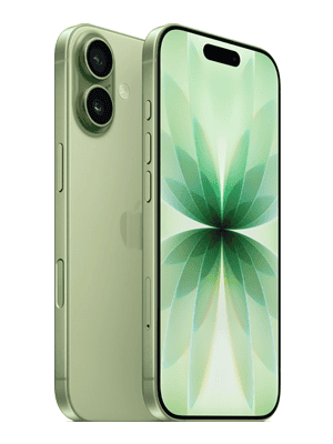 iPhone 17 in Farbe salbei / grün (sage) bei Blau.de